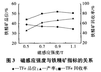 磁感應強度與鐵精礦指標的關(guān)系